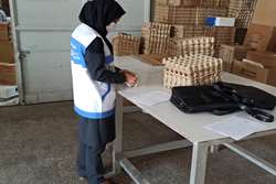  نمونه برداری ادواری از مراکز بسته بندی تخم مرغ در شهرستان بینالود